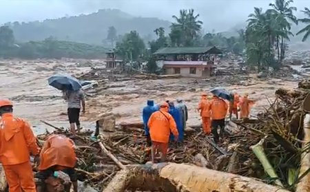 വയനാട് മേപ്പാടിയിലെ ദുരന്ത ബാധിത പ്രദേശങ്ങളിൽ തെരച്ചിൽ ഇന്നും തുടരും