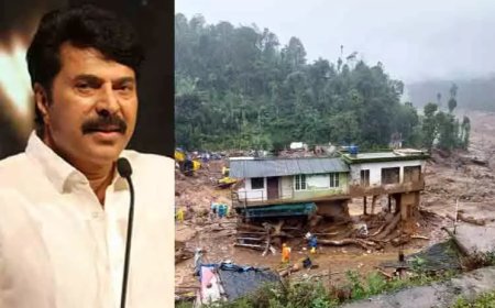 വയനാടിന് കൈത്താങ്ങായി മമ്മൂട്ടിയുടെ കെയർ ആൻഡ് ഷെയറും