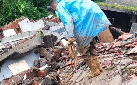 10-12 അടി അവശിഷ്ടങ്ങളിൽ നിന്ന് പോലും മനുഷ്യശരീരത്തിൻ്റെ ഗന്ധം തിരിച്ചറിയുന്ന സെർച്ച് ആൻഡ് റെസ്ക്യൂ നായ്ക്കൾ,വയനാട്ടിലെ ദുരന്തഭൂമിയിൽ സൈന്യത്തോടൊപ്പം