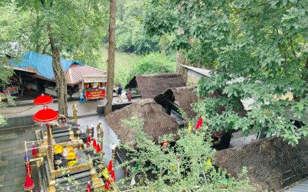 പിതൃ സ്മരണ പുതുക്കി കോന്നി  കല്ലേലി കാവില്‍ 1001 മുറുക്കാന്‍ സമര്‍പ്പണവും വാവൂട്ടും