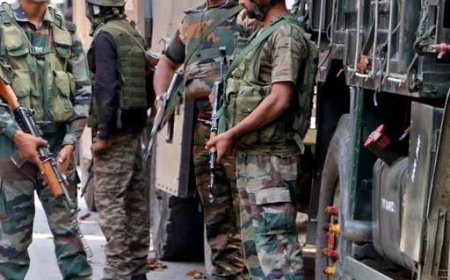 ഭരണഘടനയുടെ ആർട്ടിക്കിൾ 370 റദ്ദാക്കിയതിൻ്റെ അഞ്ചാം വാർഷികത്തിൽ ജമ്മു കശ്മീരിൽ അതീവ ജാ​ഗ്രത