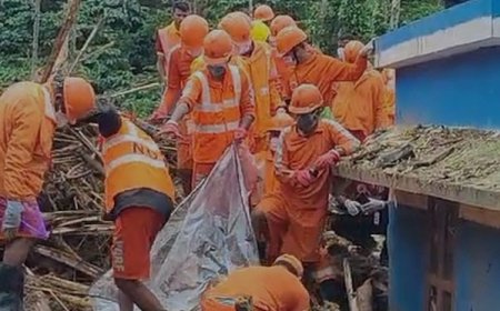 വയനാട് ഉരുൾപൊട്ടൽ; രണ്ട് മൃതദേഹങ്ങൾ കൂടി കണ്ടെടുത്തു