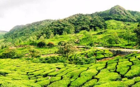 പശ്ചിമഘട്ട പരിസ്ഥിതി ലോലമേഖല; കരടിൽ വില്ലേജുകളെ ഒഴിവാക്കാത്തതിൽ പ്രതിഷേധം