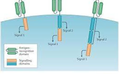 മലബാർ കാൻസർ സെന്ററിൽ അതിനൂതന കാർ ടി സെൽ തെറാപ്പി