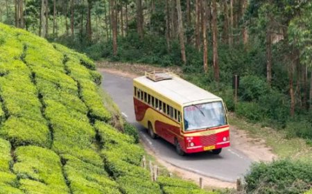 നിർത്തി വെച്ച കെ എസ് ആർ ടി സി ബജറ്റ് ടൂറിസം യാത്രകൾ പുനരാരംഭിച്ചു