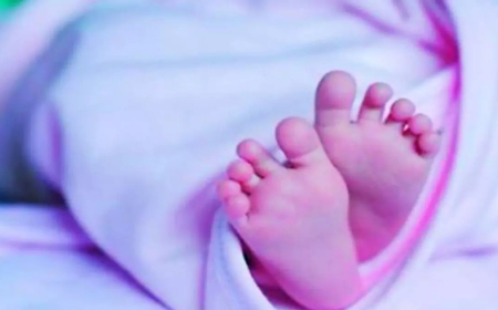 ഉടുമ്പൻചോലയിൽ  രണ്ടുമാസം പ്രായമുള്ള കുഞ്ഞ് മരിച്ച നിലയിൽ