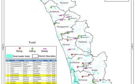 മണിമല നദിയിലെ ജലനിരപ്പ്:  മഞ്ഞ അലെർട്ട് പ്രഖ്യാപിച്ചു
