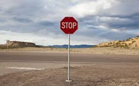 കോട്ടയം ജില്ലയിൽ ഈരാറ്റുപേട്ട-വാഗമൺ റോഡിലെയും മലയോര മേഖലയിലെയും രാത്രികാലയാത്ര നിരോധിച്ചു.