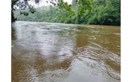 സംസ്ഥാനത്ത് മഴ തുടരുമെന്ന് മുന്നറിയിപ്പ്: മൂന്ന് ജില്ലകളില് ഇന്ന് ഓറഞ്ച് അലര്ട്ട്