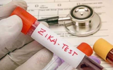 ബം​ഗു​ളൂ​രു​വി​ൽ അ​ഞ്ച് പേ​ർ​ക്ക് സി​ക്ക വൈ​റ​സ് സ്ഥി​രീ​ക​രി​ച്ചു