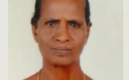 കായംകുളത്ത് ലഹരിക്കടിമയായ കൊച്ചുമകന് വയോധികയെ തള്ളിയിട്ടു കൊന്നു