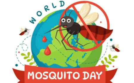 ഇന്ന് ലോക കൊതുക് ദിനം: കൊതുകുജന്യ രോഗങ്ങള്‍ക്കെതിരെ ജാഗ്രത