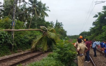 കാറ്റിൽ മരങ്ങൾ പാളത്തിലേക്ക് വീണു: കോട്ടയം, ആലപ്പുഴ വഴിയുള്ള തീവണ്ടി ഗതാഗതം തടസപ്പെട്ടു