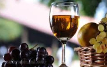 കേരളത്തിന്റെ സ്വന്തം വൈൻ ബ്രാൻഡ് ‘നിള’ ഉടൻ വിപണിയിലെത്തും