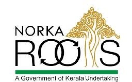 യുഎഇയിലെ പൊതുമാപ്പ്: നോർക്ക റൂട്സ് ഹെൽപ്പ് ഡെസ്ക് ഒരുക്കും