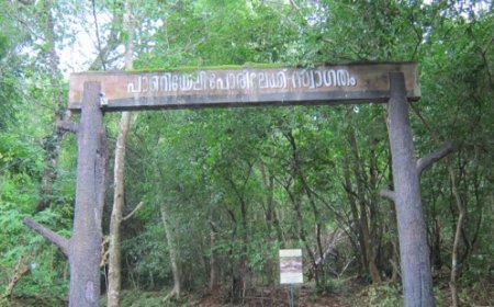 എറണാകുളം ജില്ലയിലെ ആദ്യ ഹരിത ടൂറിസ്റ്റ് കേന്ദ്രമാകാൻ ഒരുങ്ങി വേങ്ങൂർ പാണിയേലി പോര്