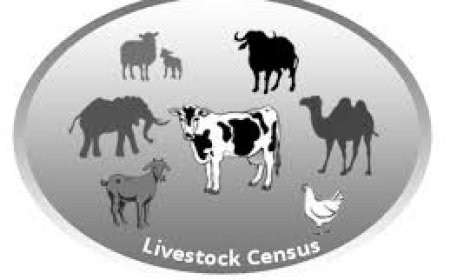 21-ാമത് കന്നുകാലി  സെൻസസ് സെപ്റ്റംബർ 2 ന് ആരംഭിക്കും: മന്ത്രി ജെ ചിഞ്ചുറാണി