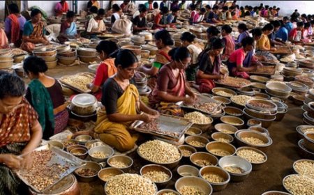 സംസ്ഥാന സർക്കാരിന്റെ  ഓണക്കിറ്റ്:  കശുവണ്ടി പാക്കറ്റുകൾ  തയ്യാർ