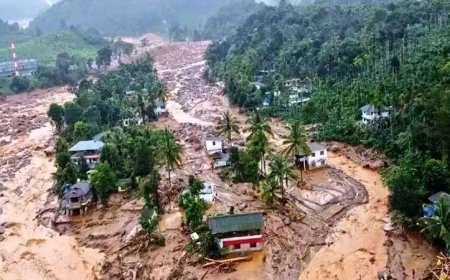 വയനാട് ദുരന്തം: രജിസ്ട്രേഷൻ രേഖകൾ ലഭ്യമാക്കും