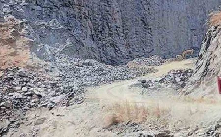 ചി​റ്റ​ടി മാ​ങ്ങാ​പ്പാ​റ പാ​റ​മ​ട​യ്ക്ക് സ്റ്റോ​പ്പ് മെ​മ്മോ