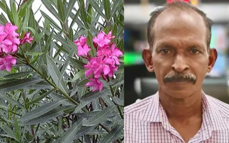 കോട്ടയത്ത്  അരളി ഇല ജ്യൂസ് കഴിച്ച് ഗൃഹനാഥൻ മരിച്ചു