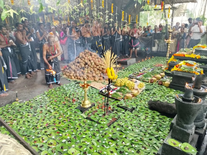 1001 മുറുക്കാൻ 1001 കരിക്ക് പടേനി സമർപ്പണം; ഗോത്ര സംസ്‌കൃതിയെ നില നിർത്തി കല്ലേലി കാവിൽ ബലി തർപ്പണം