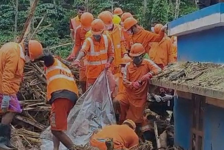 വയനാട് ഉരുൾപൊട്ടൽ; രണ്ട് മൃതദേഹങ്ങൾ കൂടി കണ്ടെടുത്തു