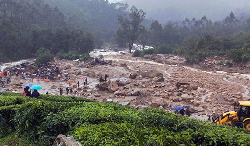 ഇടുക്കി പെട്ടിമുടി ദുരന്തത്തിന്റെ ഓർമ്മകൾക്ക് നാലു വയസ്സ്