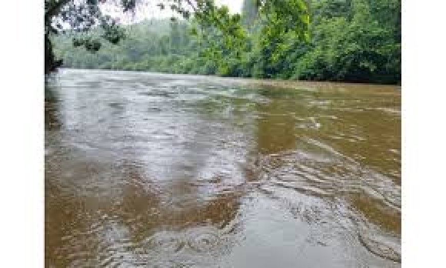 സം​സ്ഥാ​ന​ത്ത് മ​ഴ തു​ട​രു​മെ​ന്ന് മു​ന്ന​റി​യി​പ്പ്: മൂ​ന്ന് ജി​ല്ല​ക​ളി​ല്‍ ഇ​ന്ന് ഓ​റ​ഞ്ച് അ​ല​ര്‍​ട്ട്