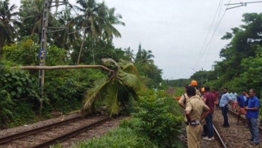 കാറ്റിൽ മരങ്ങൾ പാളത്തിലേക്ക് വീണു: കോട്ടയം, ആലപ്പുഴ വഴിയുള്ള തീവണ്ടി ഗതാഗതം തടസപ്പെട്ടു