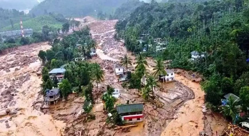 മുണ്ടക്കൈ ഉരുൾപ്പൊട്ടൽ; കാണാതായവർക്കായുള്ള തിരച്ചിൽ സൂചിപ്പാറ മേഖലയിൽ ഇന്നും തുടരും