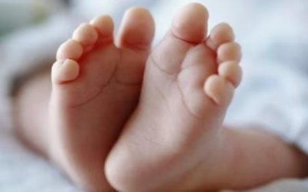 ചേർത്തലയിൽ നവജാതശിശുവിനെ കാണാതായി