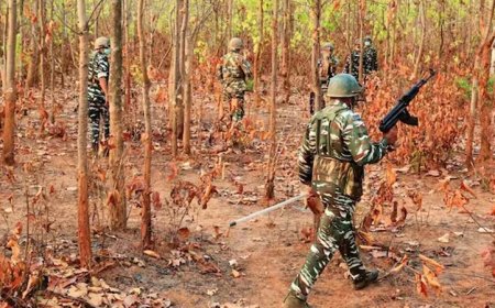 ഛത്തീസ്‌ഗഡില്‍ ഏറ്റുമുട്ടല്‍: 9 നക്‌സലേറ്റുകളെ സുരക്ഷാസേന വധിച്ചു