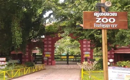 തിരുവോണത്തിന് മൃഗശാലയിൽ സന്ദർശകരെ അനുവദിക്കും