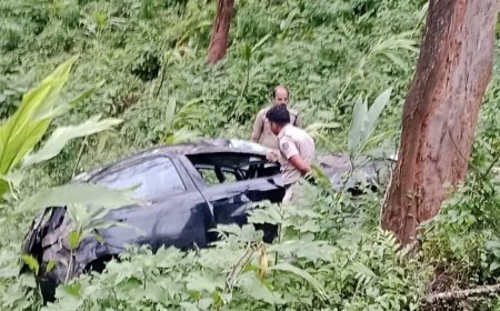 പീരുമേട് മത്തായികൊക്കയിലേക്ക് നിയന്ത്രണം വിട്ട കാർ മറിഞ്ഞ് അപകടം.