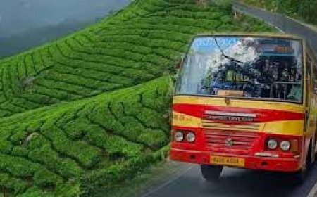 ഓണം  അടിപൊളിയാക്കാൻ  കെഎസ്ആര്ടിസി…  നിരവധി ബഡ്ജറ്റ് ഫ്രണ്ട്ലി ടൂര്പാക്കേജുകൾ