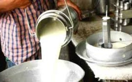 ക്ഷീരകർഷകർക്ക് ഓണ സമ്മാനമായി ഓണ മധുരം പദ്ധതി