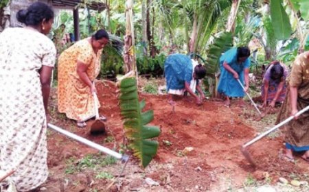 ഗ്രാമീണ തൊഴിലുറപ്പ്‌ പദ്ധതി തൊഴിലാളികൾക്ക്‌ 1000 രൂപ ഉത്സവ ബത്ത
