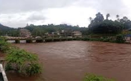 മുണ്ടക്കയത്ത് കോസ് വേ പാലത്തിന് സമാന്തരമായി  പുതിയ പാലം നിർമ്മാണം  : പ്രാഥമിക അനുമതി  ലഭിച്ചു.