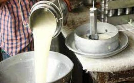 ഓണക്കാല പ്രത്യേക പാൽ പരിശോധന;  ക്വാളിറ്റി ഇൻഫർമേഷൻ സെന്റർ പ്രവർത്തനം തുടങ്ങി