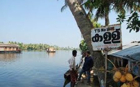 സ്‌കൂള്‍ വിദ്യാര്‍ത്ഥിക്ക് കള്ള് നല്കിയ ഷാപ്പിന്റെ ലൈസന്‍സ് റദ്ദാക്കി