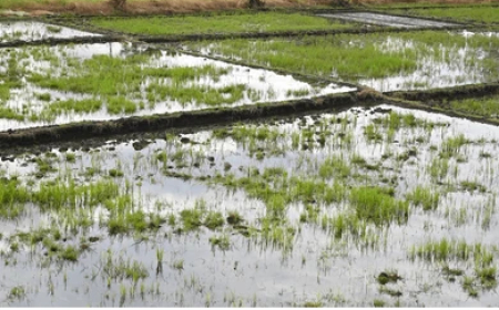 സമ്പൂര്‍ണ ജലബജറ്റ്  ജില്ലയായി വയനാട്