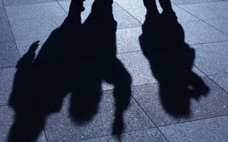 പാലക്കാട്ടിലെ സഖി കേന്ദ്രത്തിൽ നിന്നും കാണാതായ പെൺകുട്ടികളെ കണ്ടെത്തി