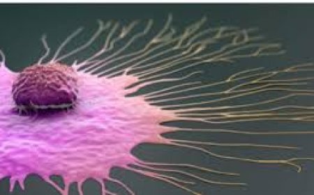 ആർ സി സിയിൽ സൗജന്യ സ്തനാർബുദ പരിശോധന ക്യാംപെയ്ൻ ഒക്ടോബർ 1 മുതൽ