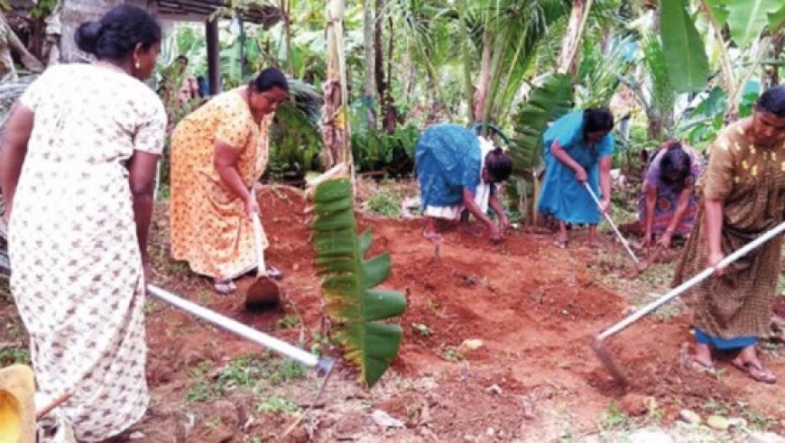 ഗ്രാമീണ തൊഴിലുറപ്പ്‌ പദ്ധതി തൊഴിലാളികൾക്ക്‌ 1000 രൂപ ഉത്സവ ബത്ത