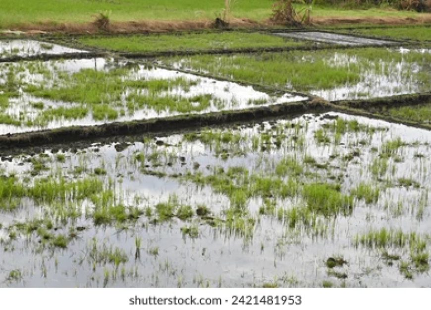 സമ്പൂര്‍ണ ജലബജറ്റ്  ജില്ലയായി വയനാട്