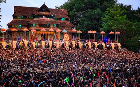 തൃശൂർ പൂരം: വിശദമായ അന്വേഷണവും നിയമനടപടിയും സ്വീകരിക്കും .