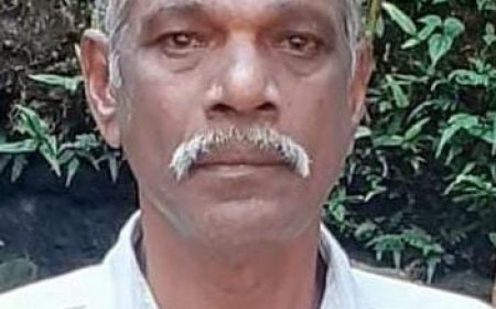 പറത്താനം  കൊല്ലരയത്ത്   കെ ജി വിശ്വനാഥൻ  നിര്യാതനായി