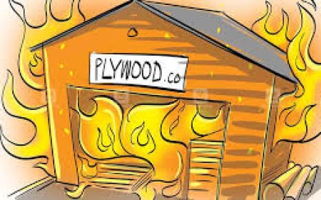 അഗ്‌നിസുരക്ഷാ മാർഗരേഖ തയ്യാറാക്കും