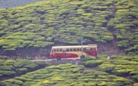 പൂജാ അവധി ദിനങ്ങളിൽ എരുമേലിയിൽ നിന്നും  മലക്കപ്പാറ, ചതുരംഗപ്പാറ വിനോദ  യാത്ര